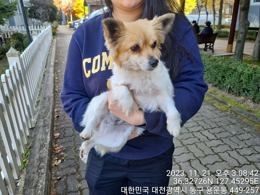 대전동물보호센터_430364202300361