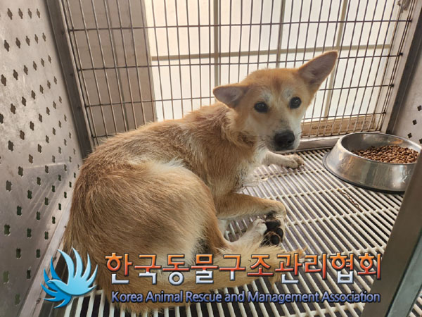 한국동물구조관리협회_441406202301962