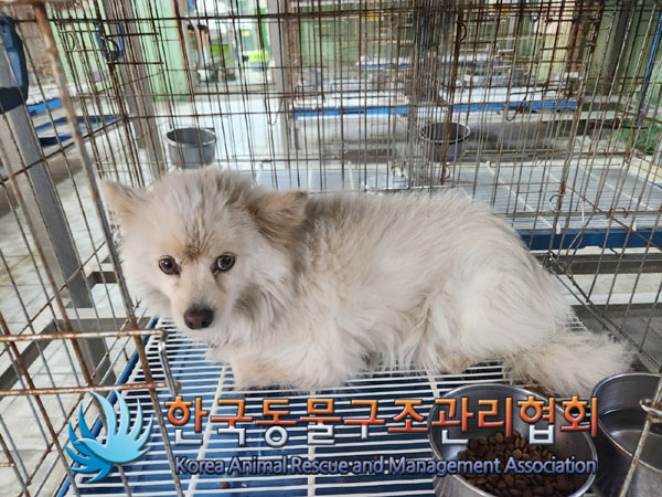 한국동물구조관리협회_441559202301239