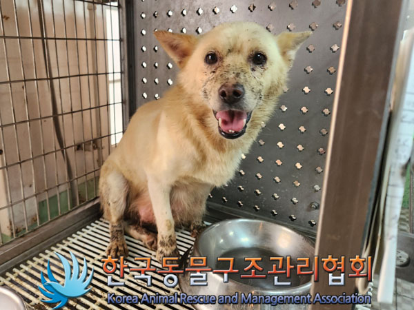 한국동물구조관리협회_441414202300938