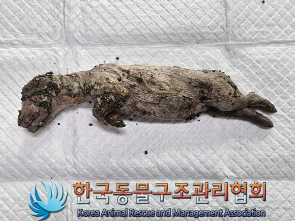 한국동물구조관리협회_441414202300941