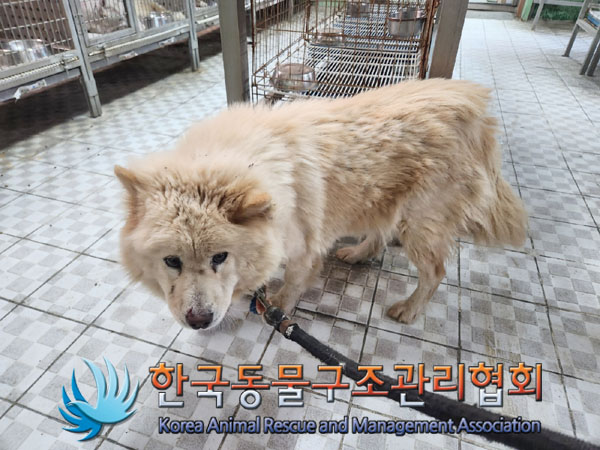 한국동물구조관리협회_441406202301960