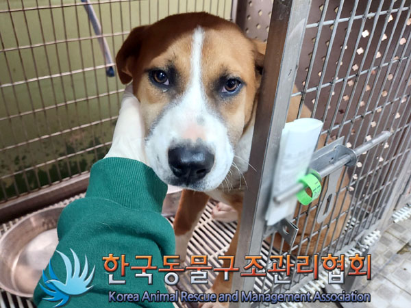 한국동물구조관리협회_441414202300939