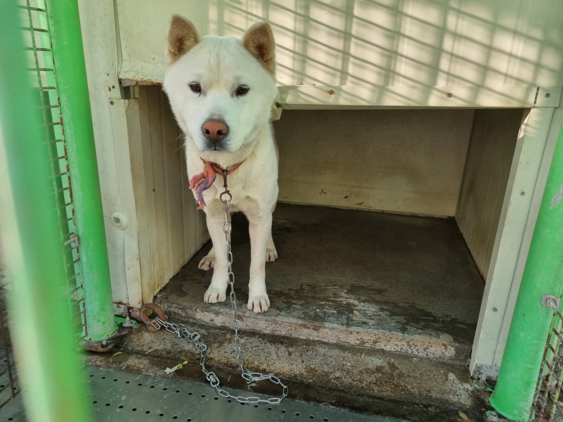 양산시 동물보호센터_448538202300757