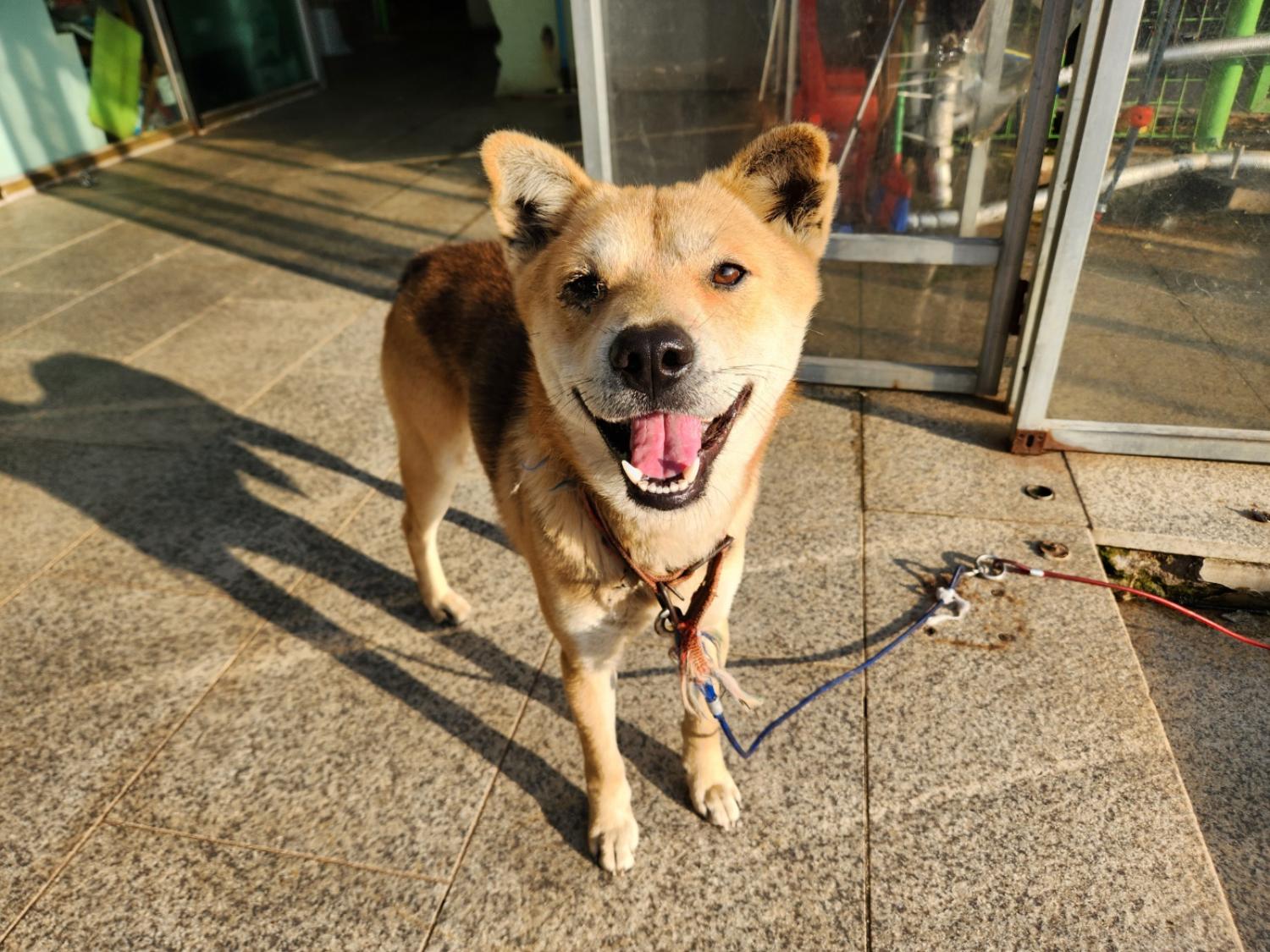광주 동물보호소_429363202301180