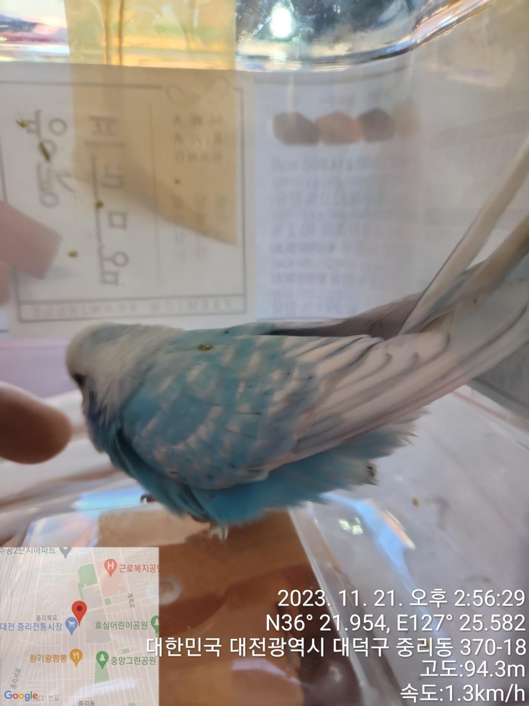대전동물보호센터_430368202300584