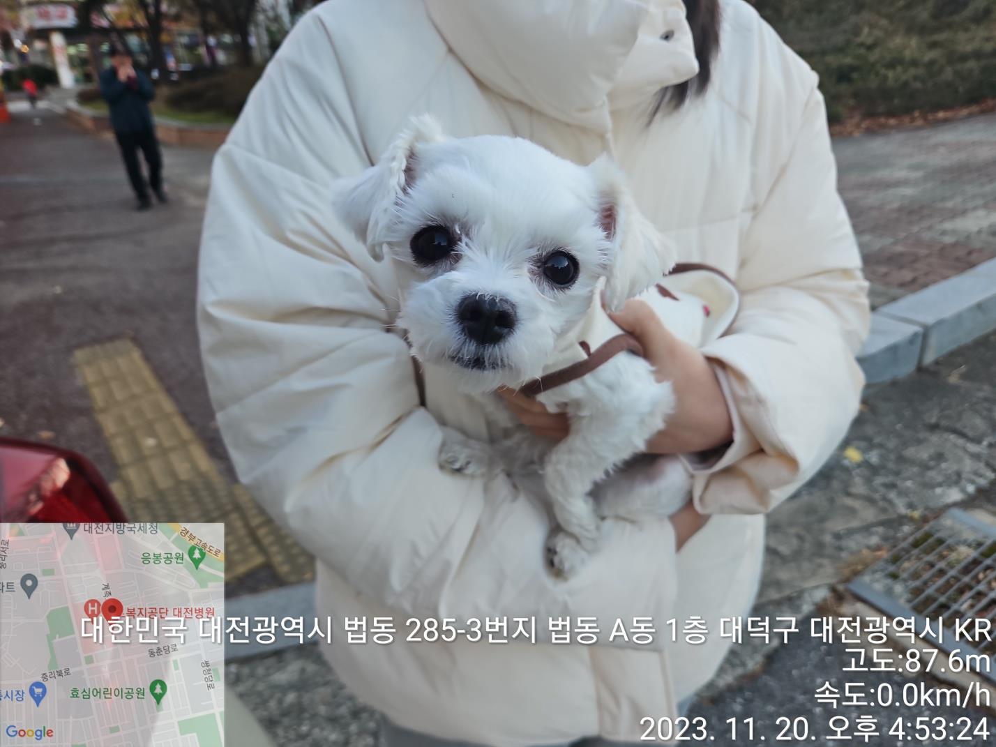 대전동물보호센터_430368202300583