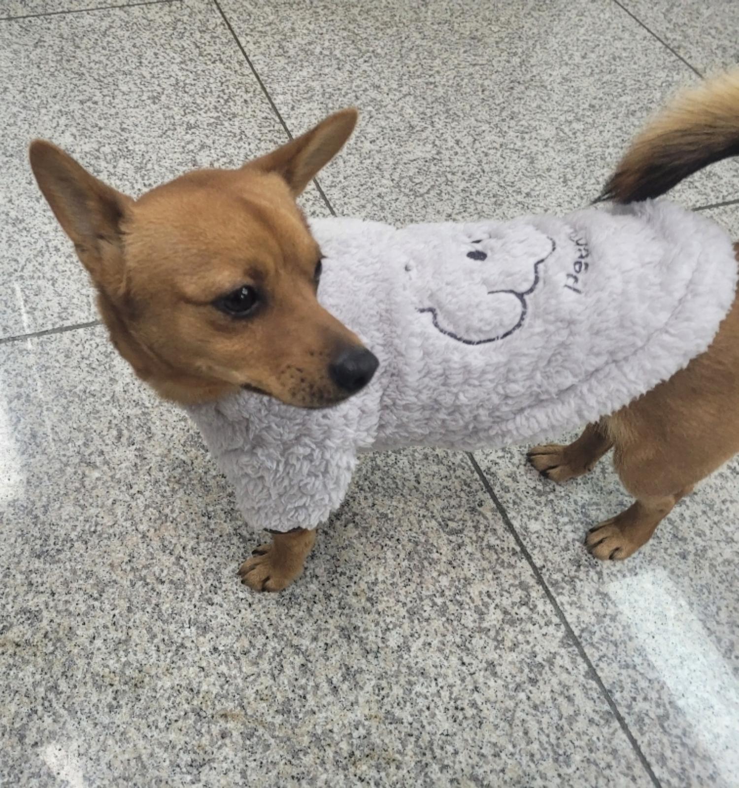 유기동물보호센터_447507202300122