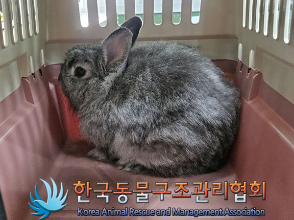 한국동물구조관리협회_411304202300811