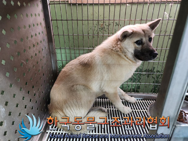 한국동물구조관리협회_441406202301979