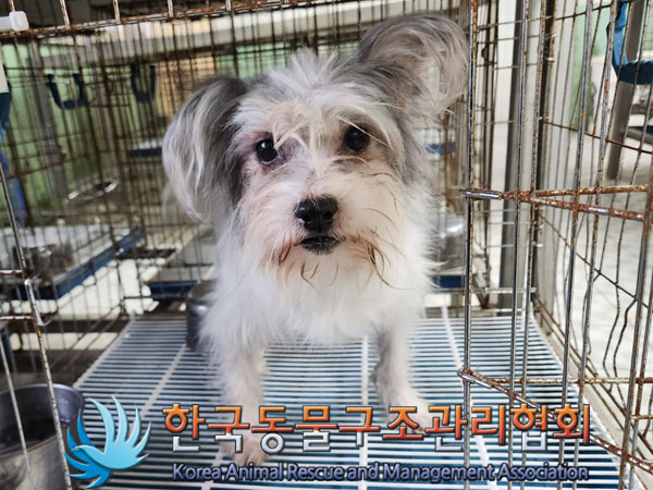 한국동물구조관리협회_411310202300591