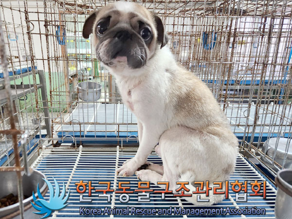 한국동물구조관리협회_441406202301978