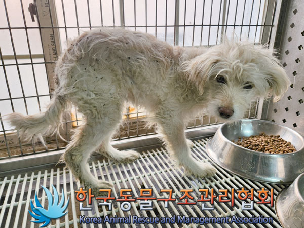 한국동물구조관리협회_441559202301241
