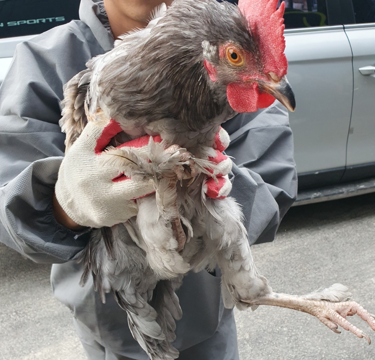 남양주시동물보호센터_441399202302892