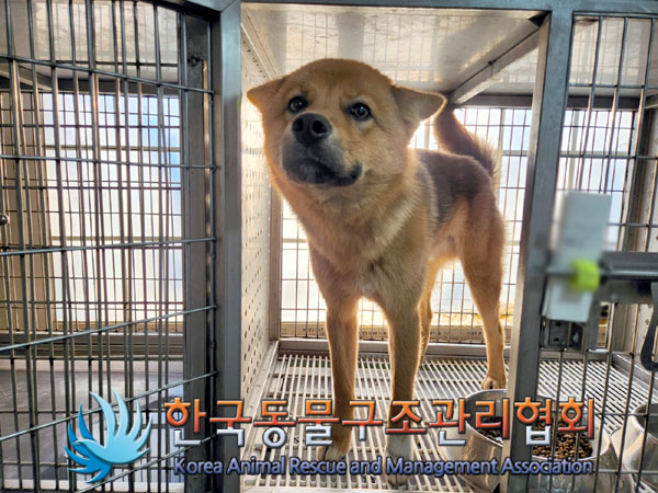한국동물구조관리협회_441559202301243