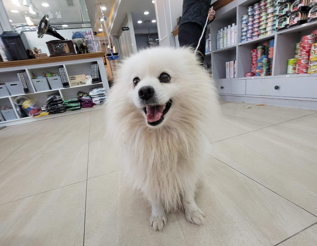 옥천동물병원_443443202300784