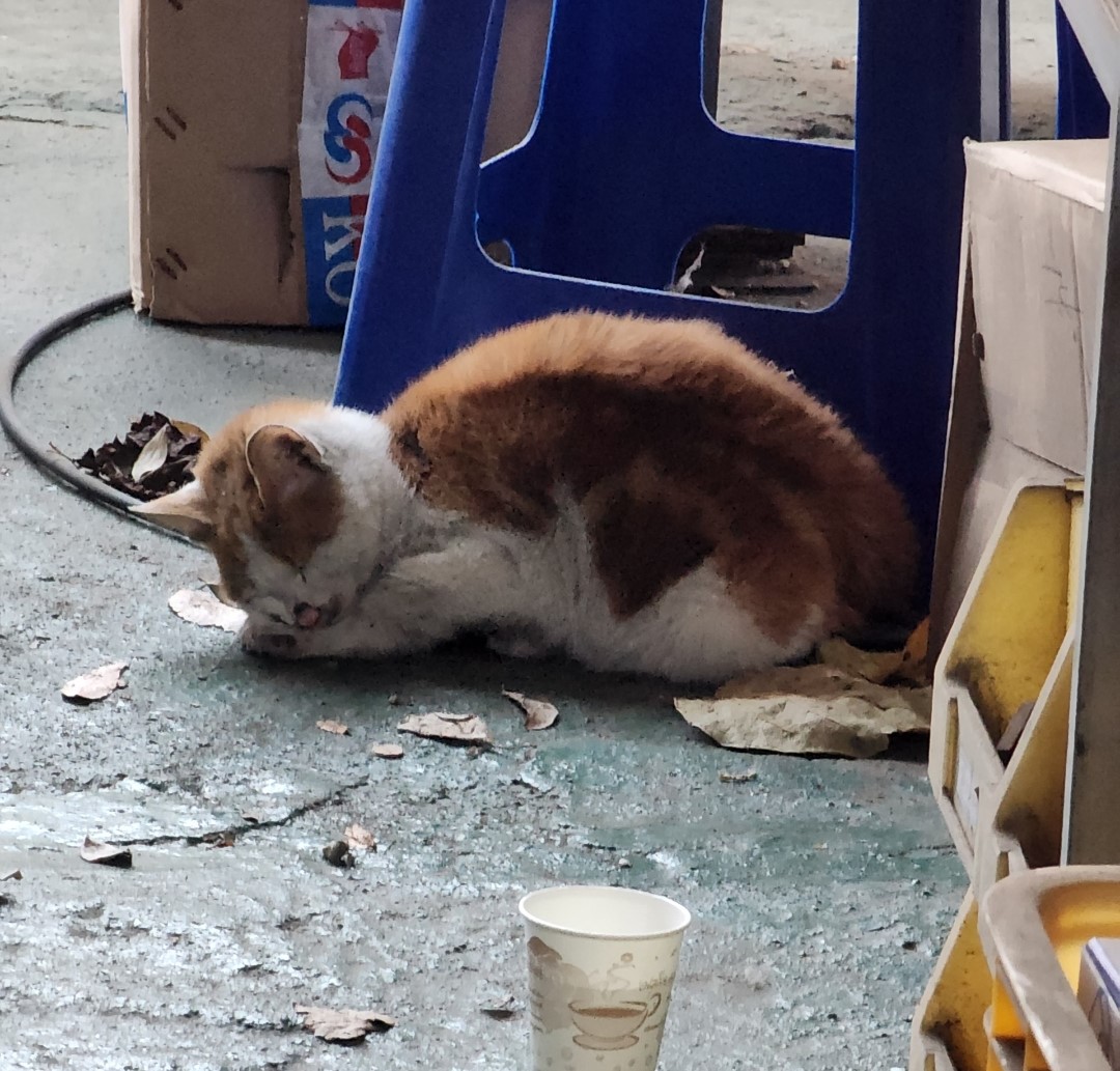 옥천동물병원_443443202300783