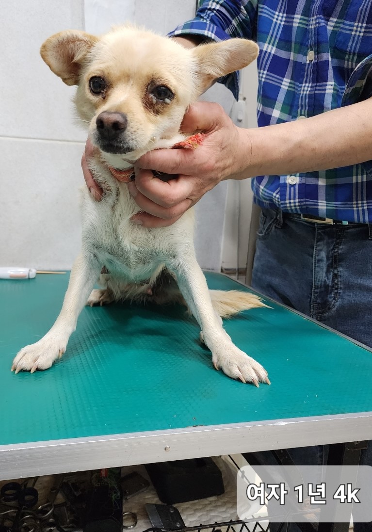 옥천동물병원_443443202300791