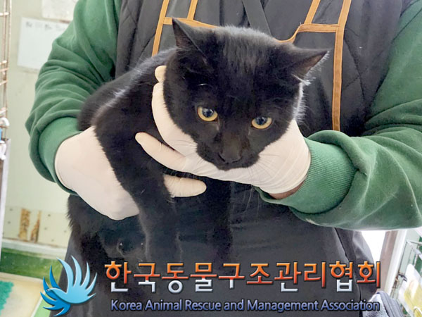 한국동물구조관리협회_441398202300503