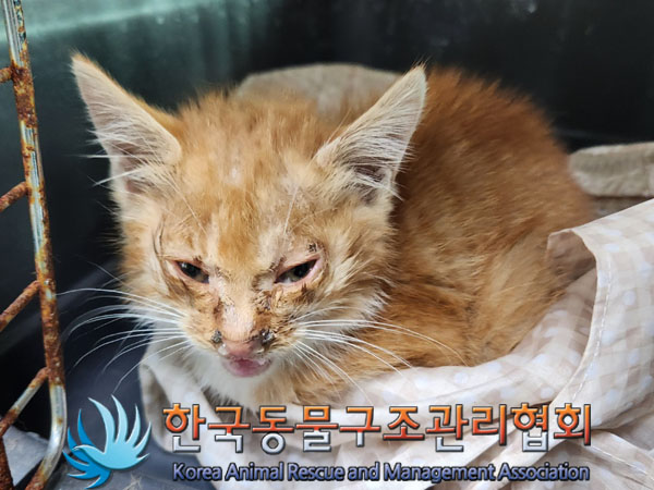 한국동물구조관리협회_411307202300543