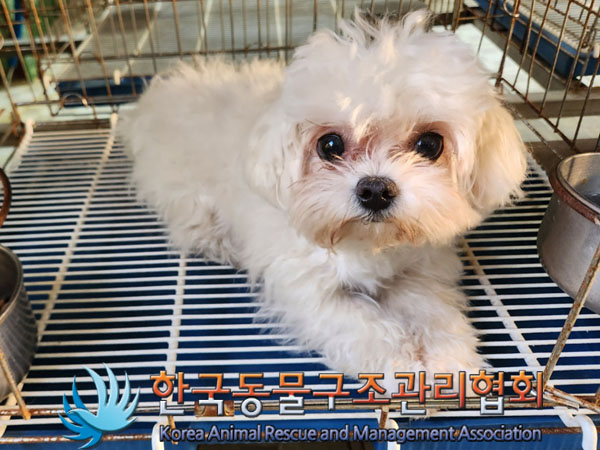 한국동물구조관리협회_411322202300870