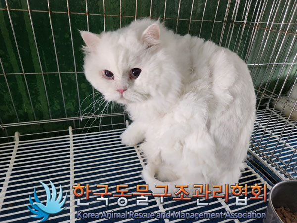 한국동물구조관리협회_411311202300982