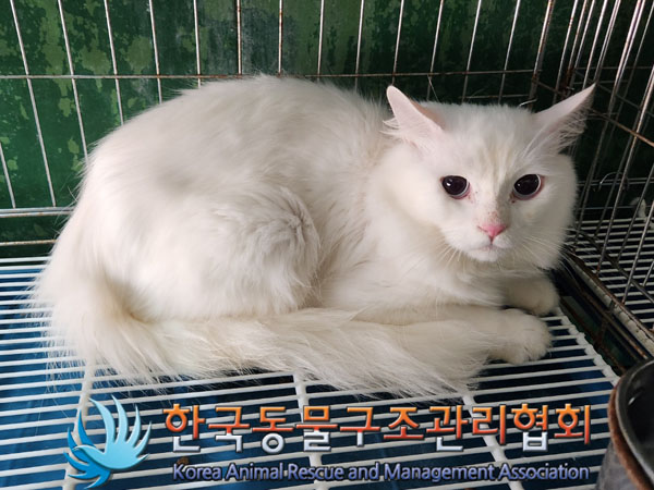 한국동물구조관리협회_411311202300983
