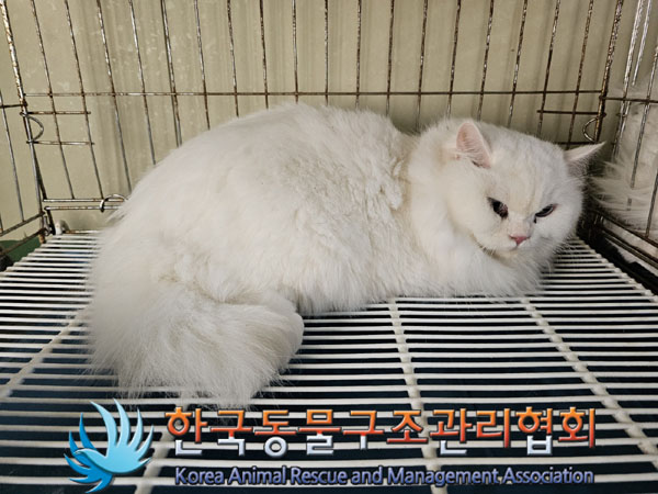한국동물구조관리협회_411311202300984