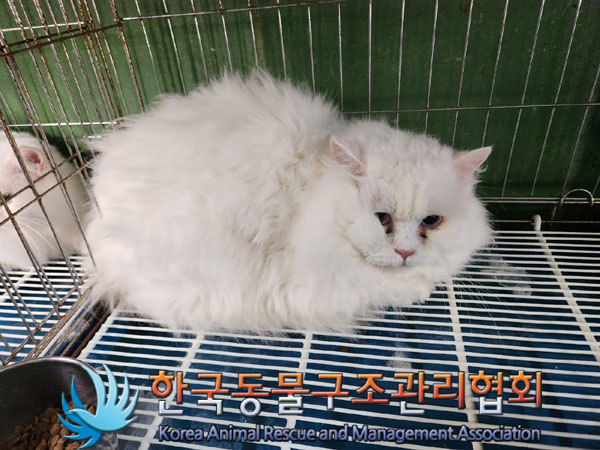 한국동물구조관리협회_411311202300987