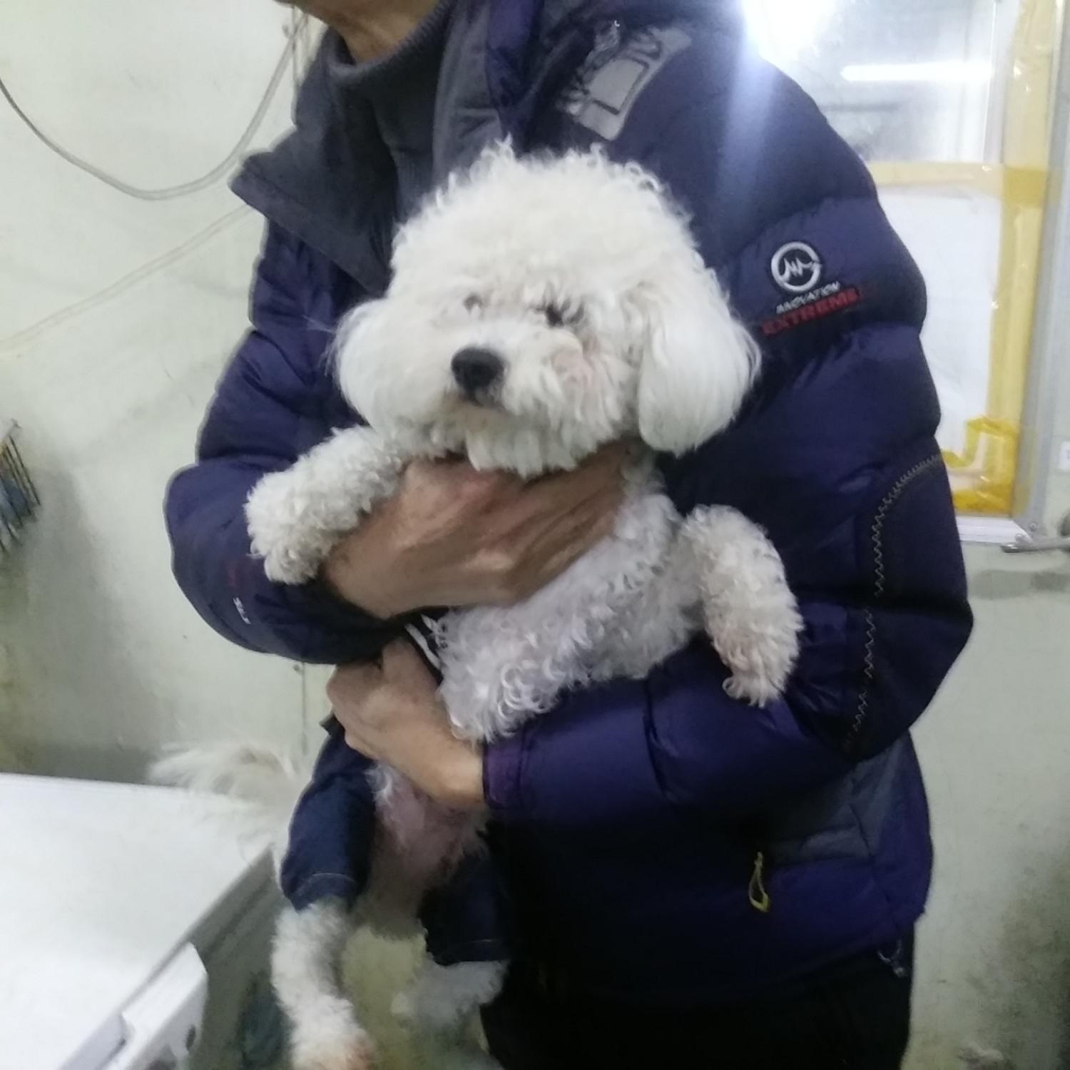 인천광역시수의사회_428353202301294