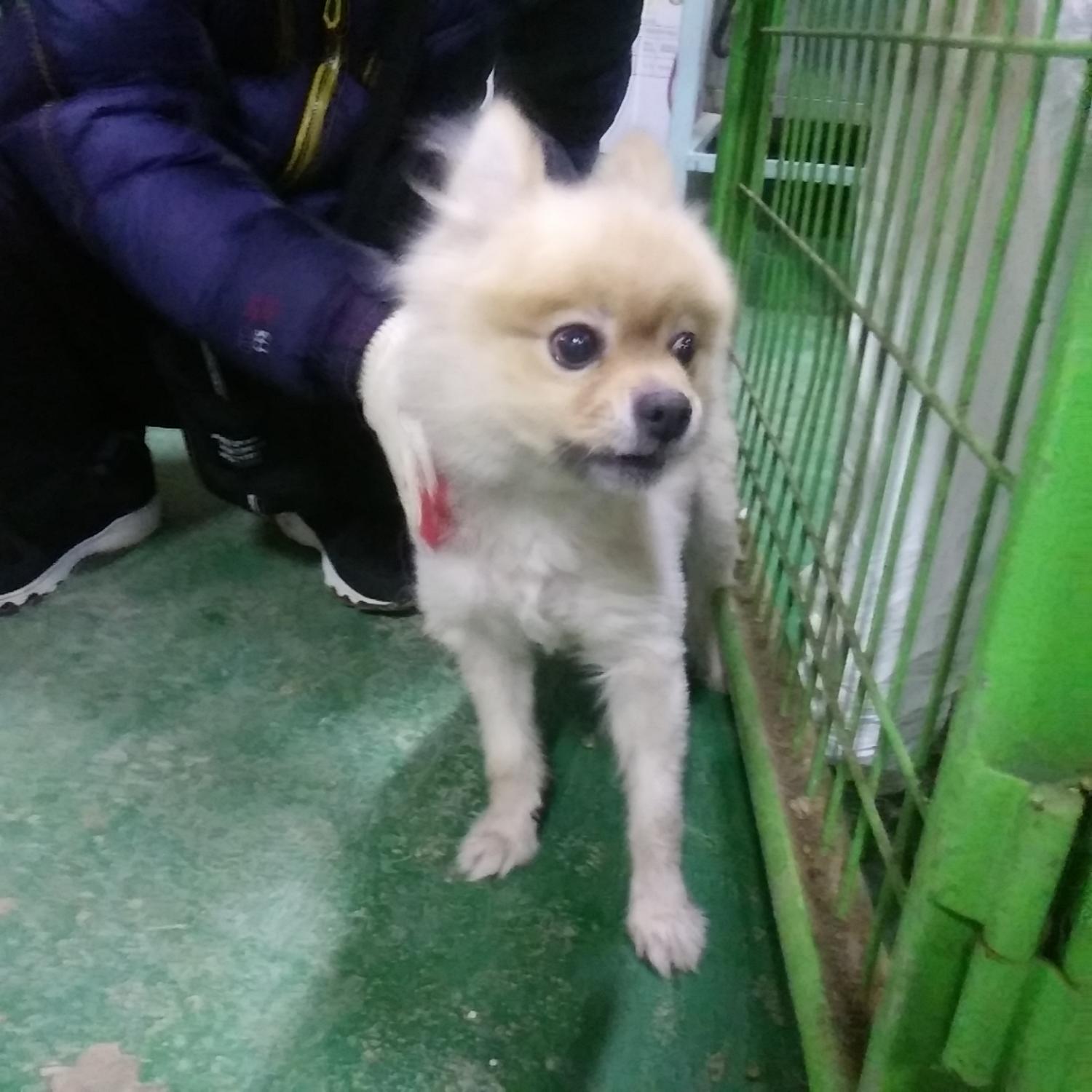 인천광역시수의사회_428351202300958