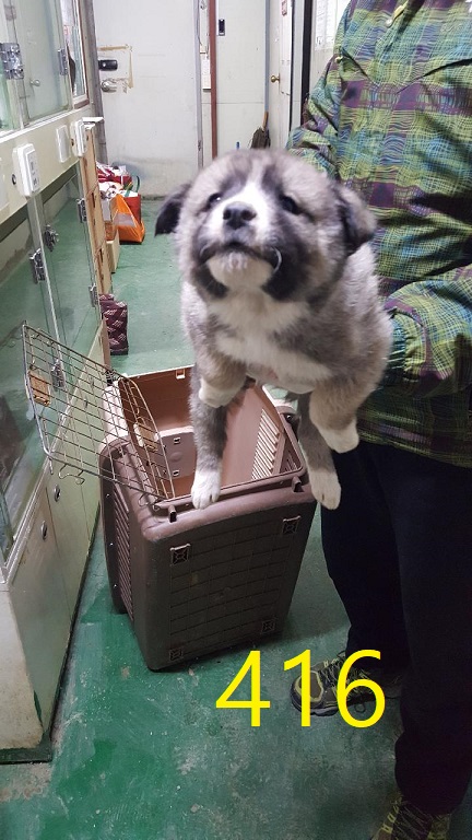 신영재동물병원_428355202300674