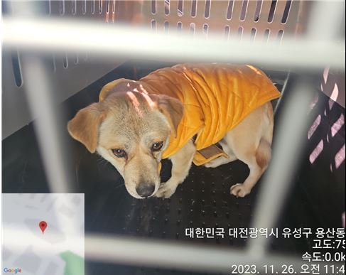 대전동물보호센터_430367202300748