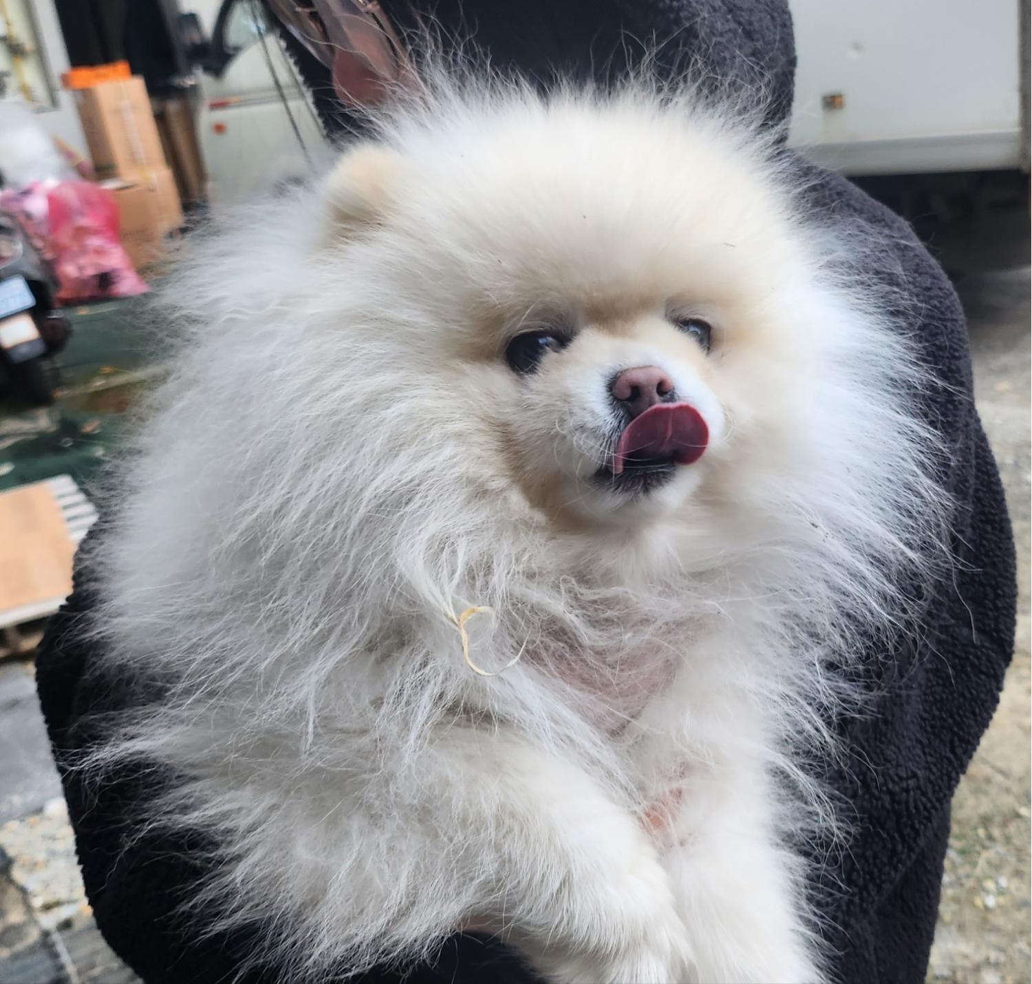 종합축산_447512202300809