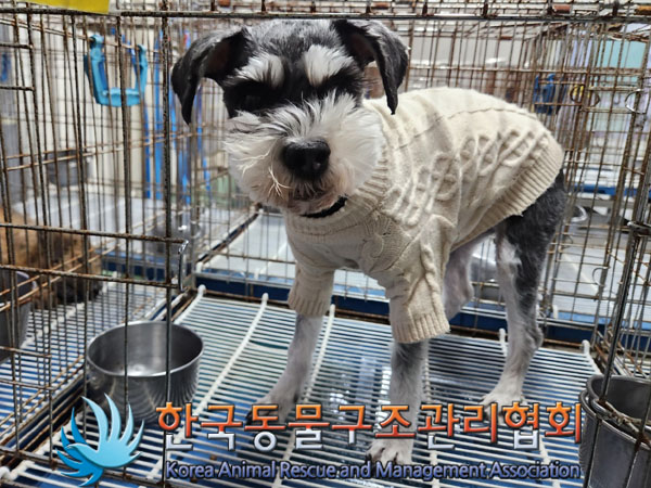 한국동물구조관리협회_411300202300523