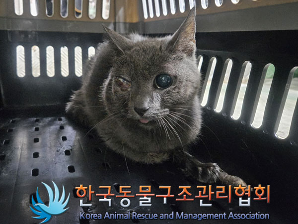 한국동물구조관리협회_411304202300827