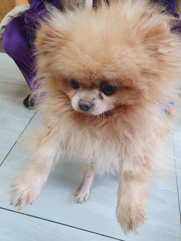 최종주동물병원_443444202300626