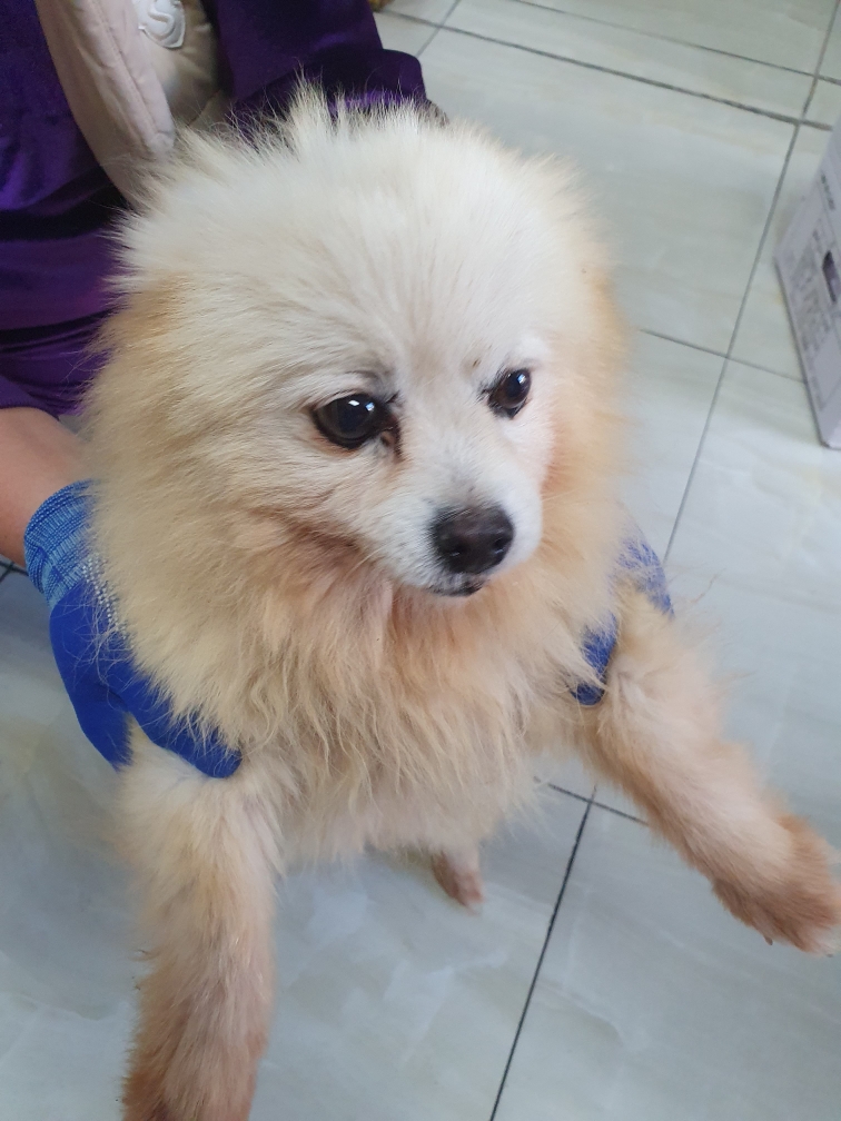 최종주동물병원_443444202300627