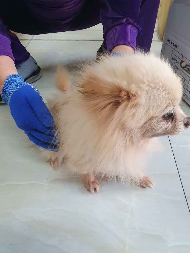최종주동물병원_443444202300625