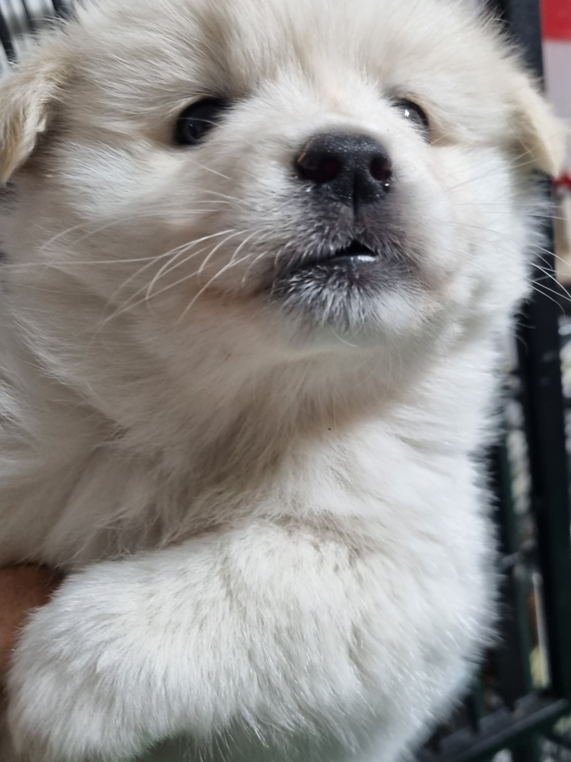 밀양시동물보호센터_448536202302525