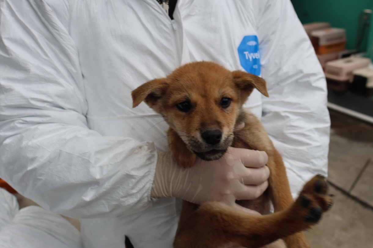 제주 동물보호센터_450650202304132