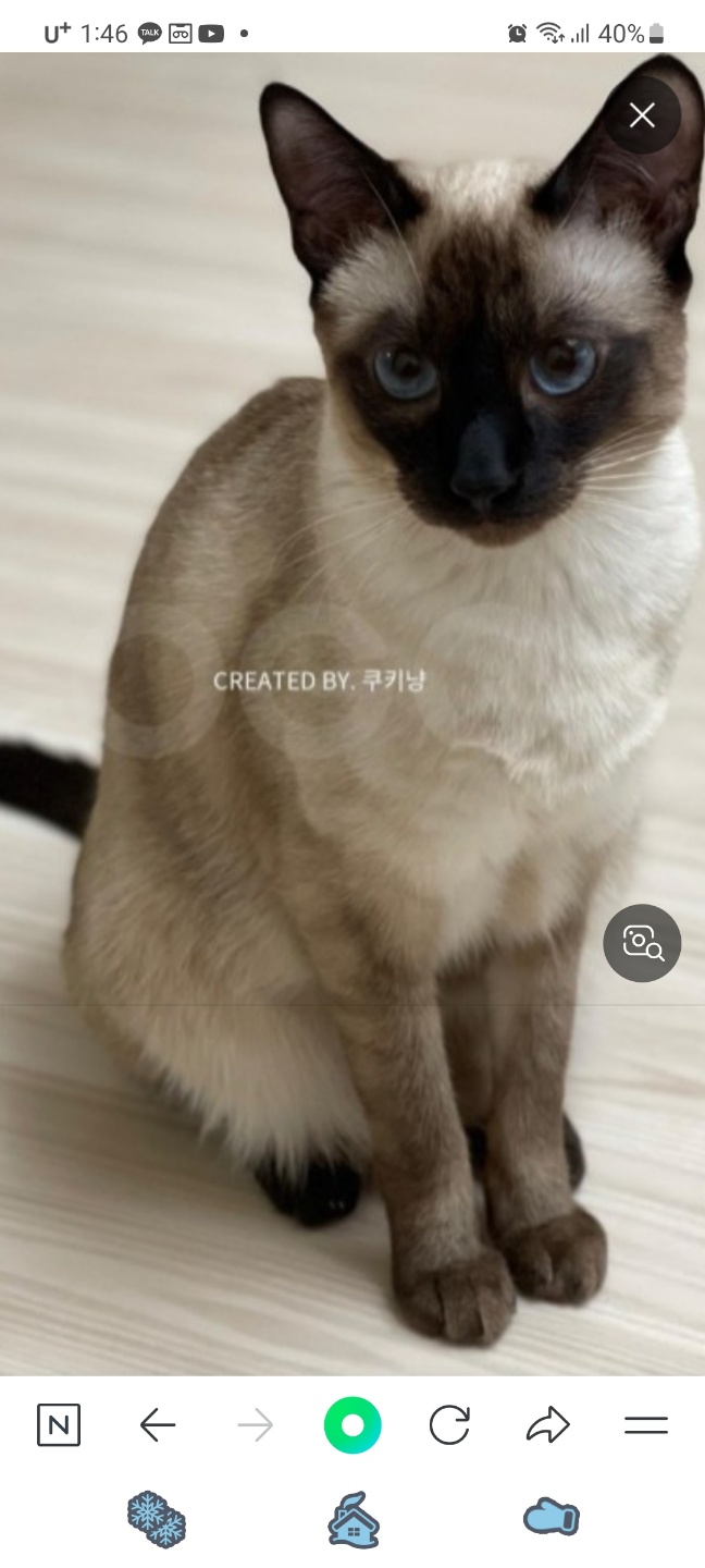 양산시 동물보호센터_448538202300775
