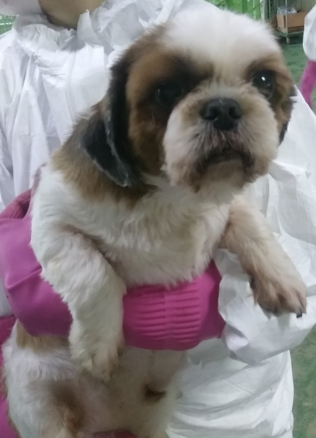 인천광역시수의사회_428351202300968