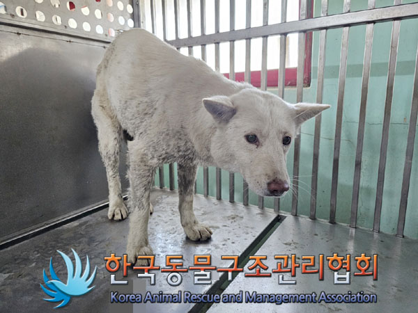 한국동물구조관리협회_441406202302013