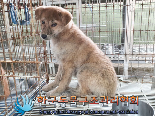 한국동물구조관리협회_441560202301647