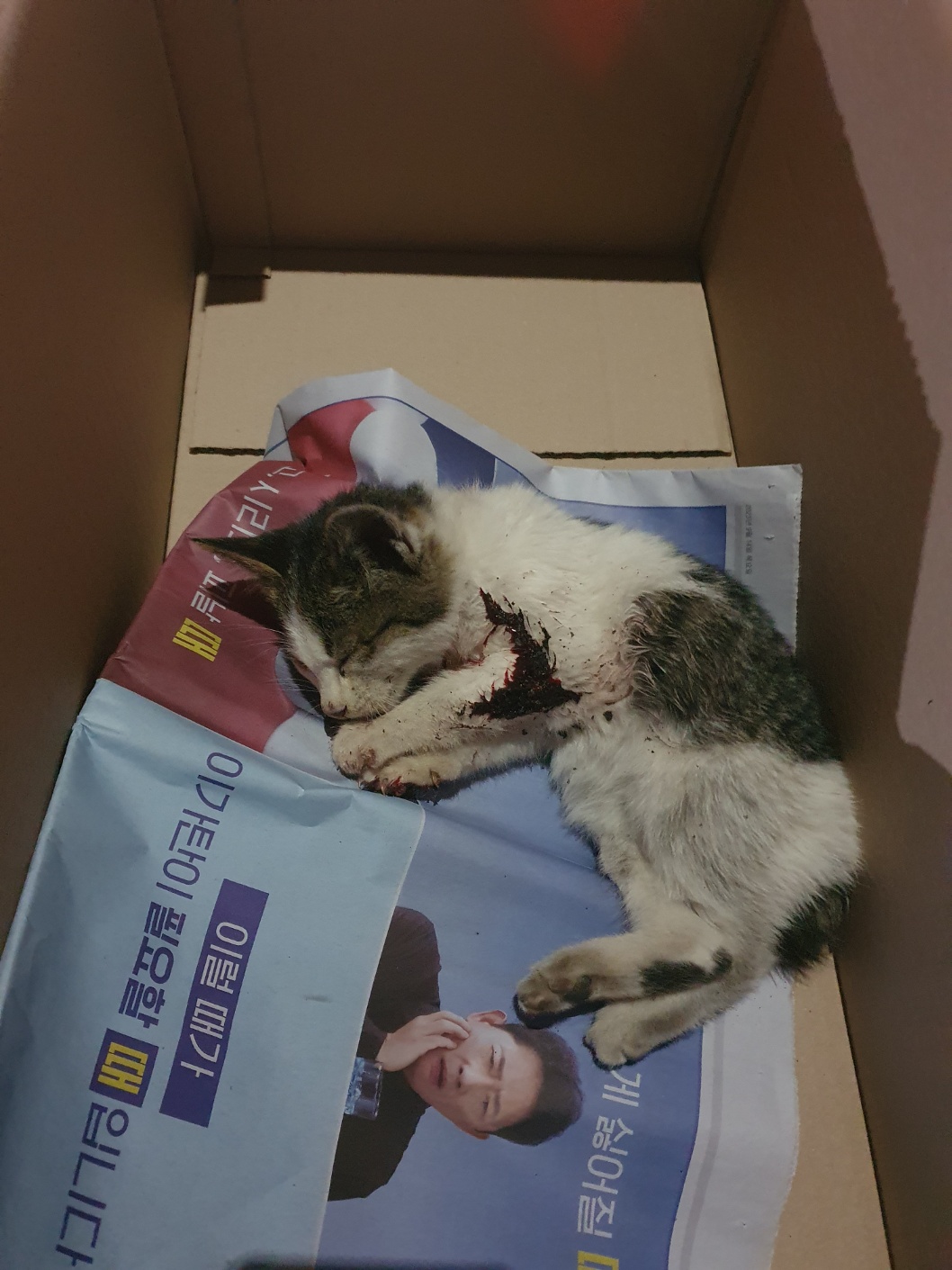 부산동물보호센터_426332202300782