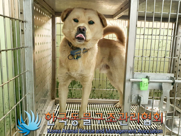 한국동물구조관리협회_441414202300951