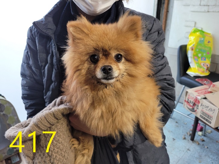 신영재동물병원_428355202300685