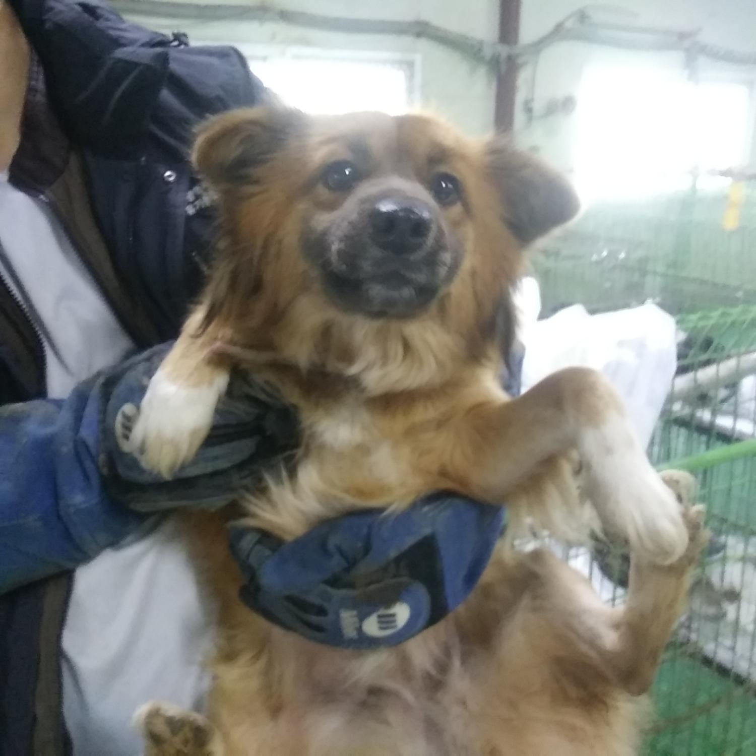 인천광역시수의사회_428353202301301