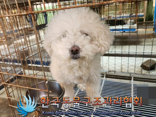 한국동물구조관리협회_441559202301253